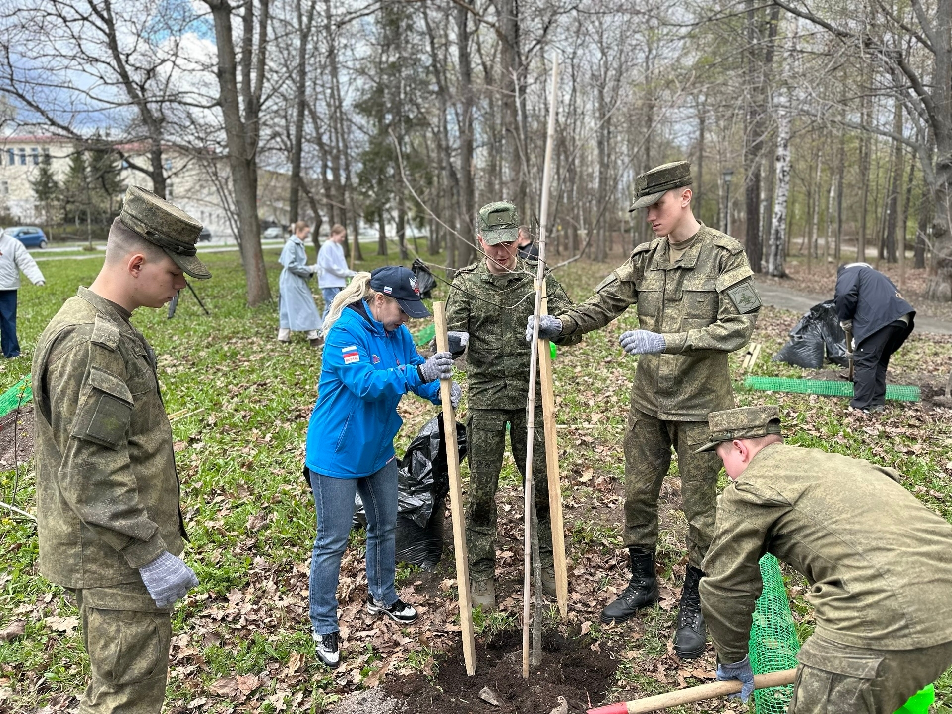 Новые деревья появились в парке Победы в Петрозаводске