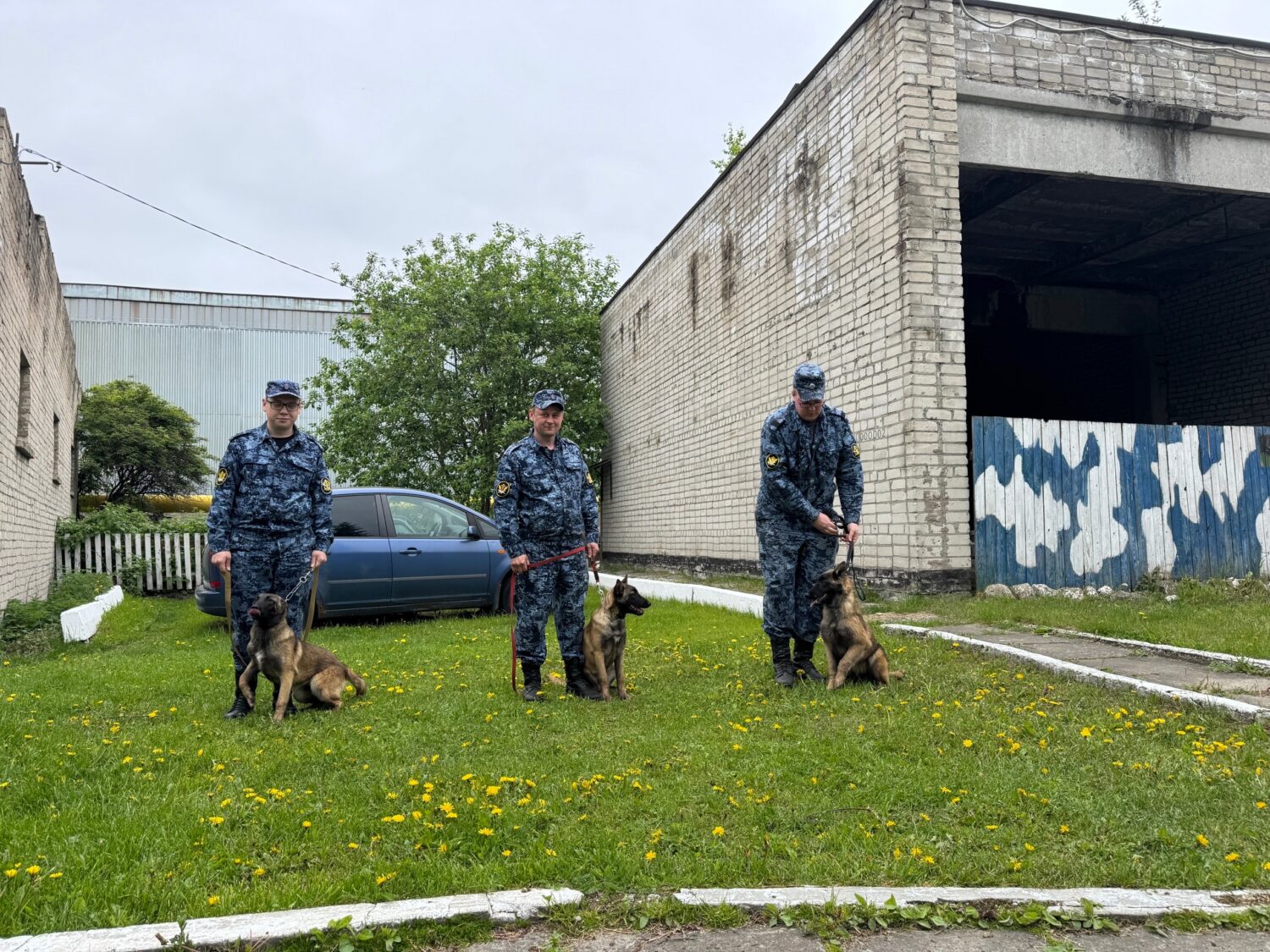 Этим новобранцам всего полгода - скоро они будут ловить преступников в Карелии