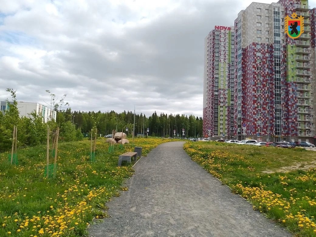 В Петрозаводске резко изменилась тройка лидеров голосования за благоустройство
