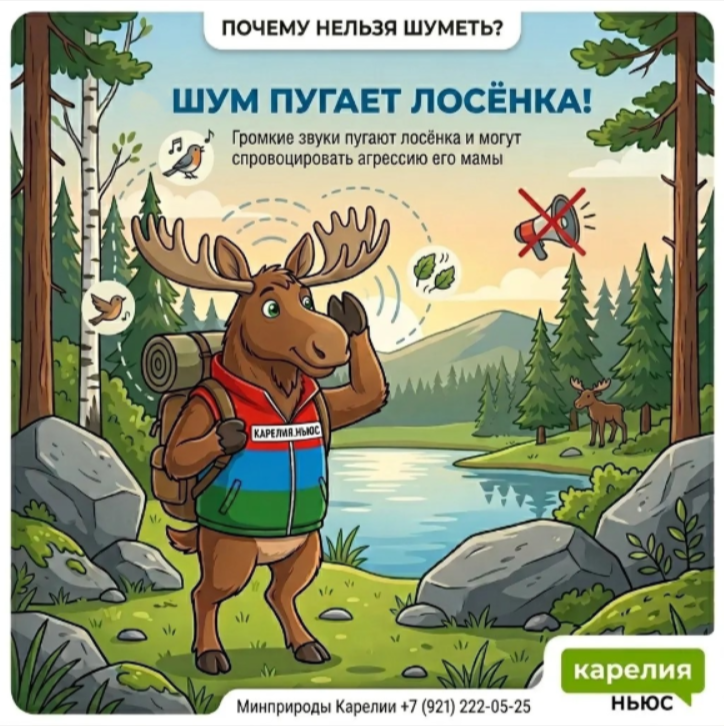 Осторожно, лосята! Топи рассказывает о безопасности в лесах Карелии