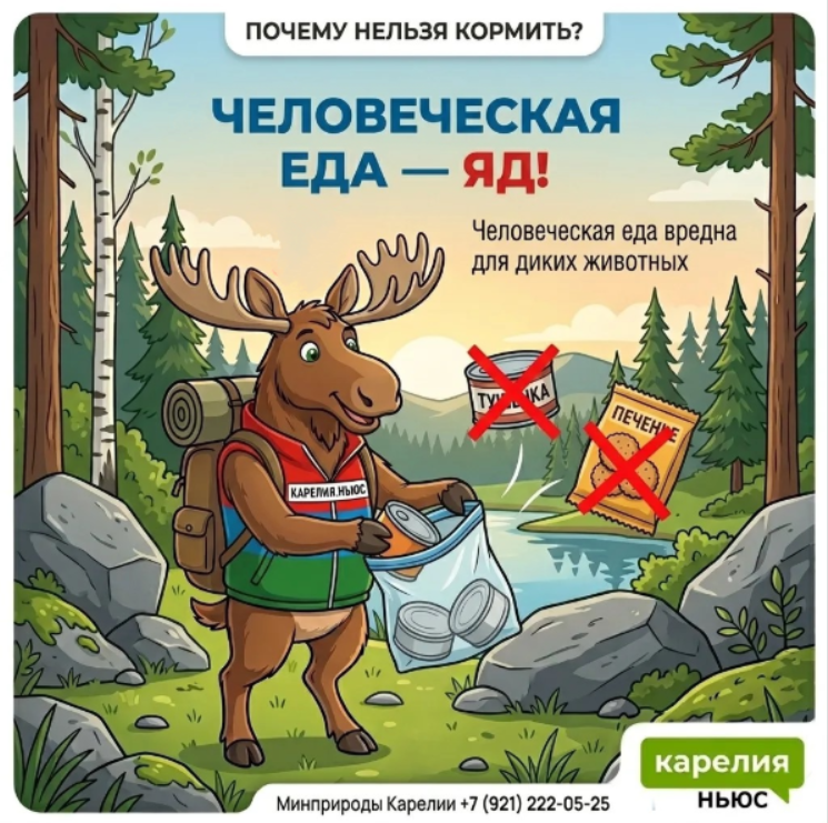 Осторожно, лосята! Топи рассказывает о безопасности в лесах Карелии