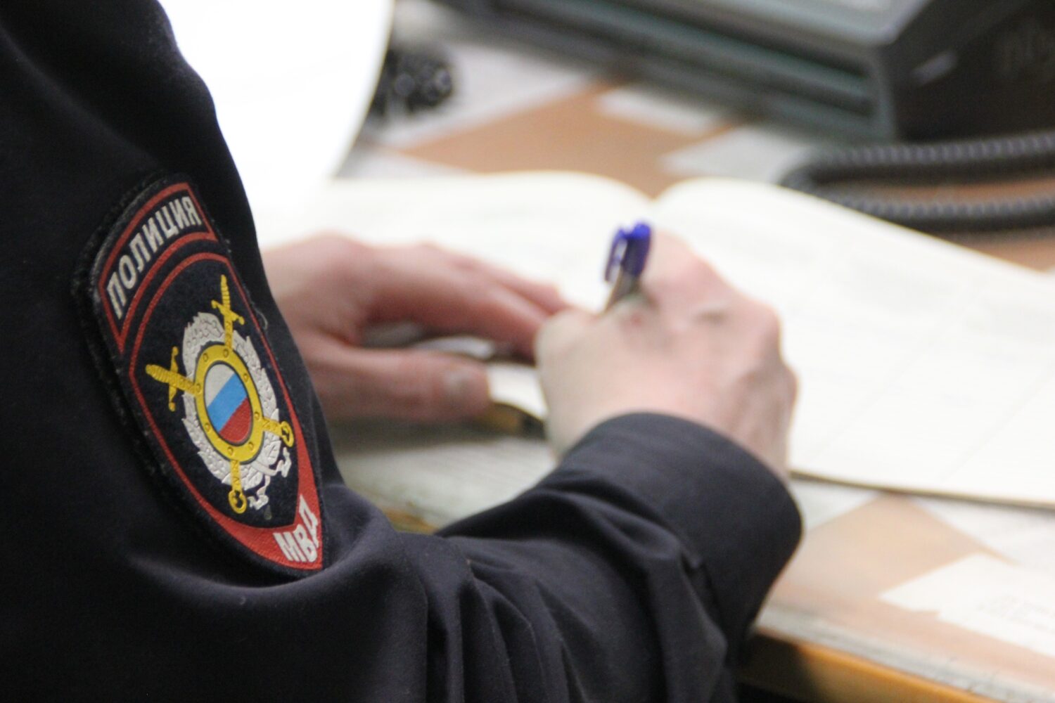 Директора фирмы в Петрозаводске арестовали за неповиновение полиции