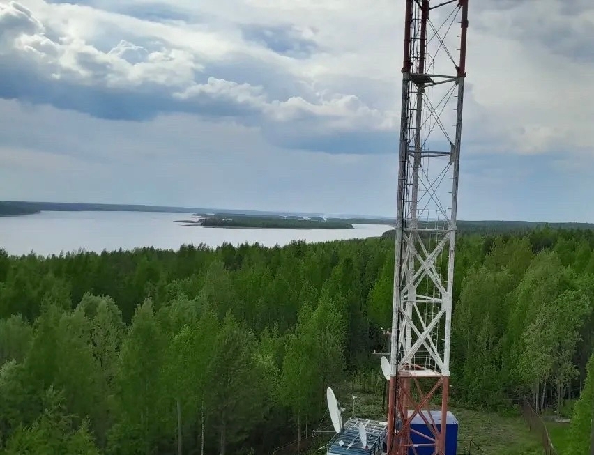Лесной пожар произошел на острове в Карелии