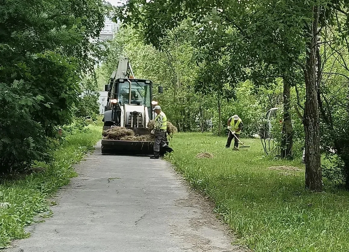 Коммунальщики начали активно косить траву в Петрозаводске