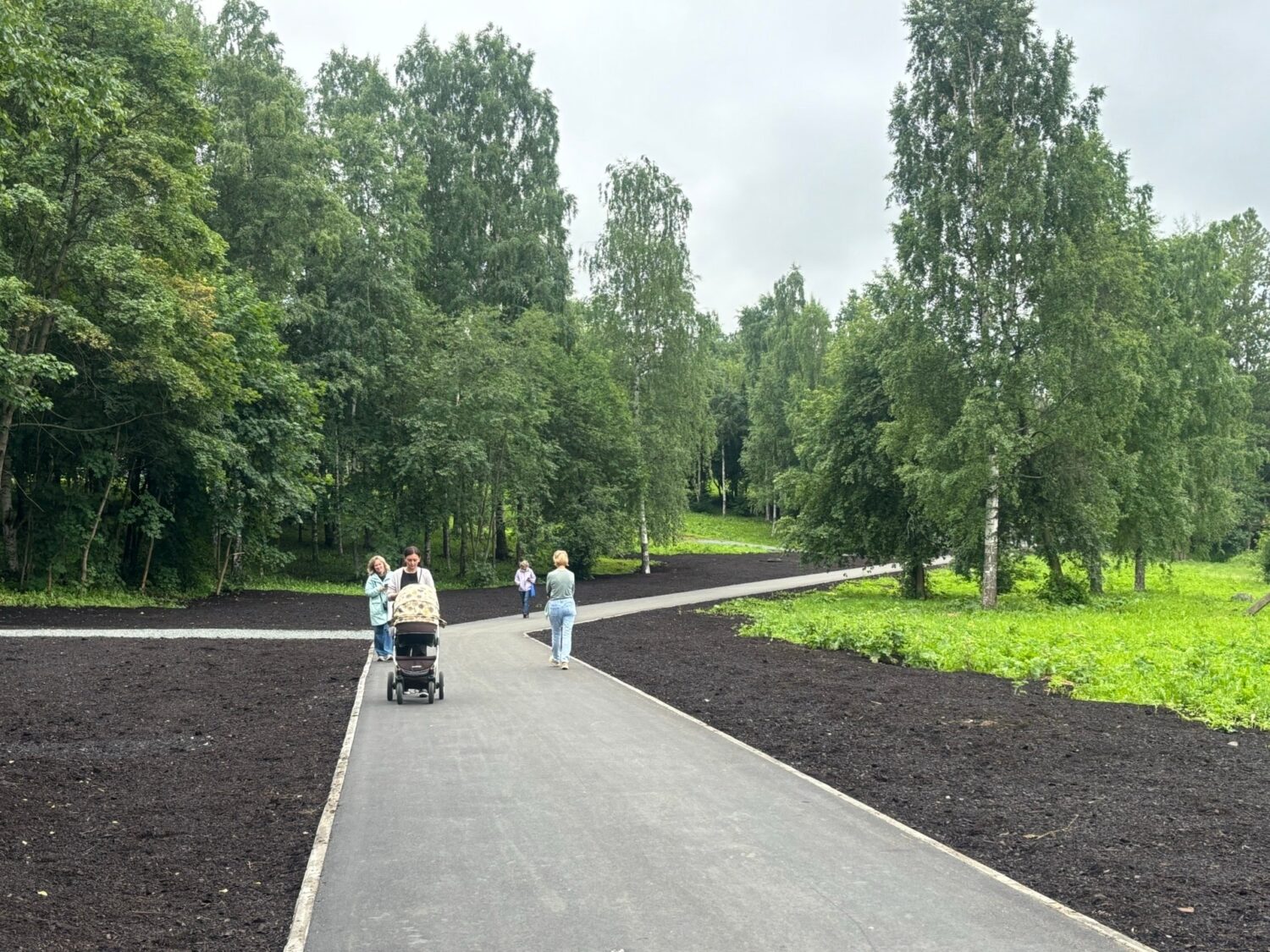 Аллея в центре Петрозаводска обрела новый облик