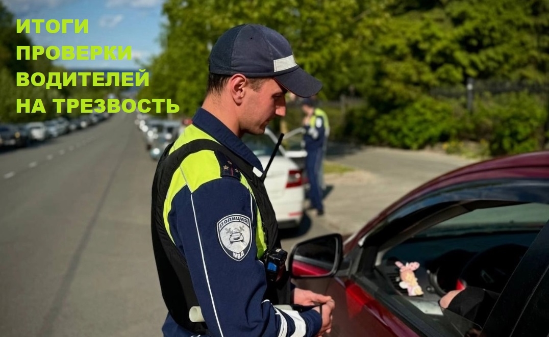 Более двухсот пьяных водителей поймали полицейские в Карелии