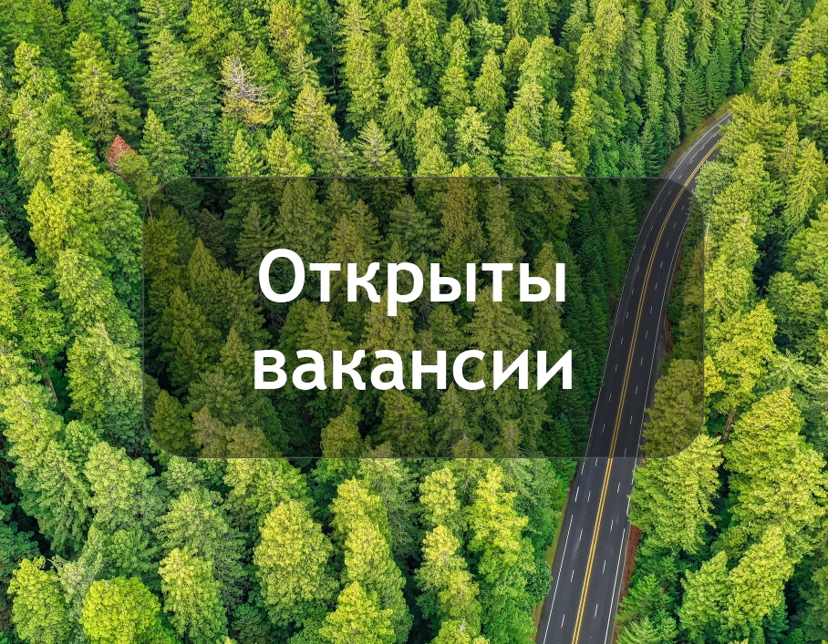 Минприроды Карелии ищет руководителей для двух районных лесничеств