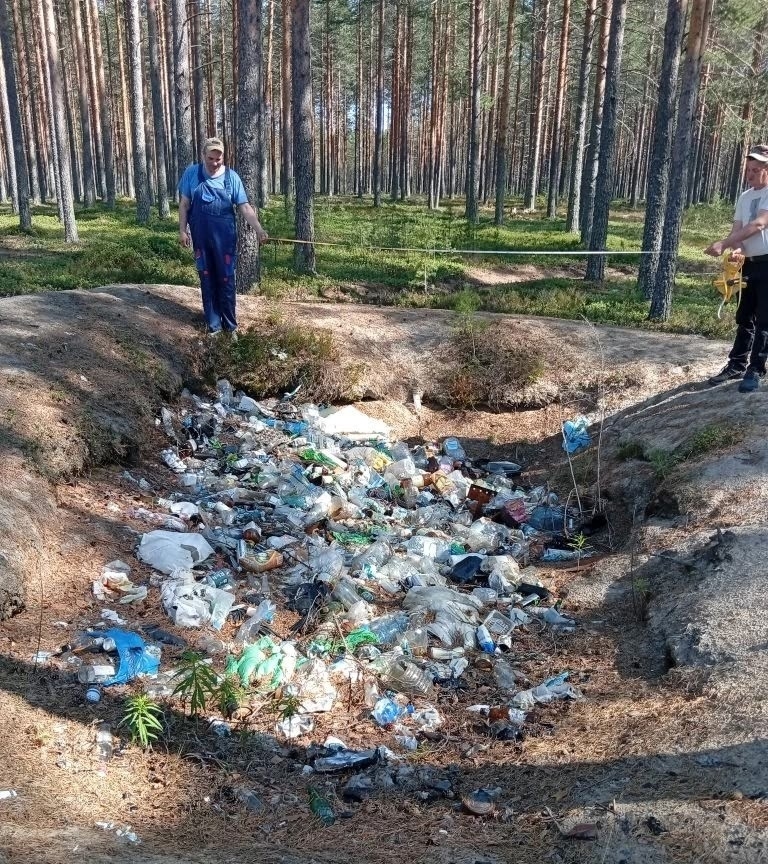 Две несанкционированные свалки обнаружили на берегах озер в Суоярвском районе