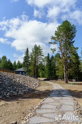 Бизнес в Петрозаводске: от шаблона сайта за 3 тысячи до форелевой фермы за 104 млн