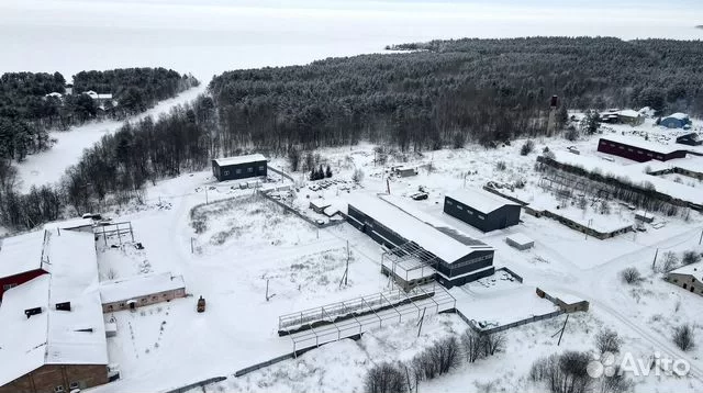 Бизнес в Петрозаводске: от шаблона сайта за 3 тысячи до форелевой фермы за 104 млн