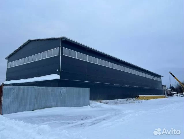 Бизнес в Петрозаводске: от шаблона сайта за 3 тысячи до форелевой фермы за 104 млн