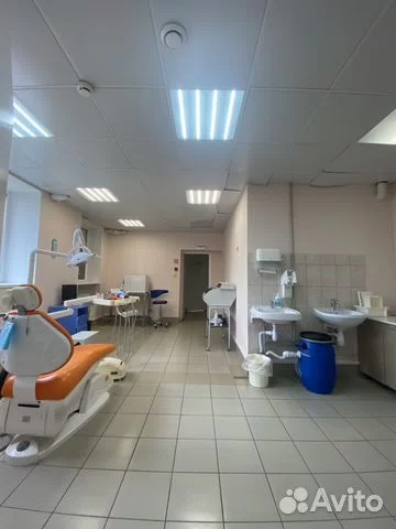 Бизнес в Петрозаводске: от шаблона сайта за 3 тысячи до форелевой фермы за 104 млн