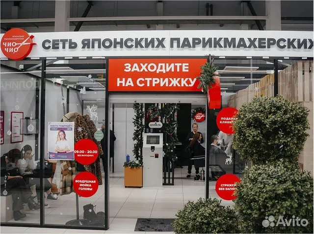 Бизнес в Петрозаводске: от шаблона сайта за 3 тысячи до форелевой фермы за 104 млн