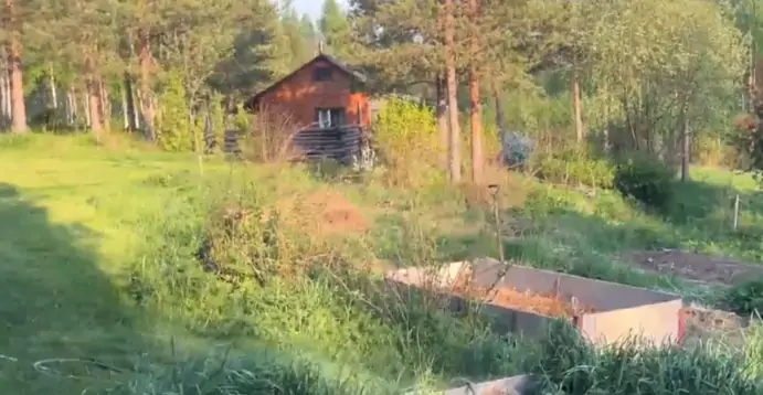 Дом, сад и годы труда - под снос: многодетную семью выгоняют с земли в Прионежье