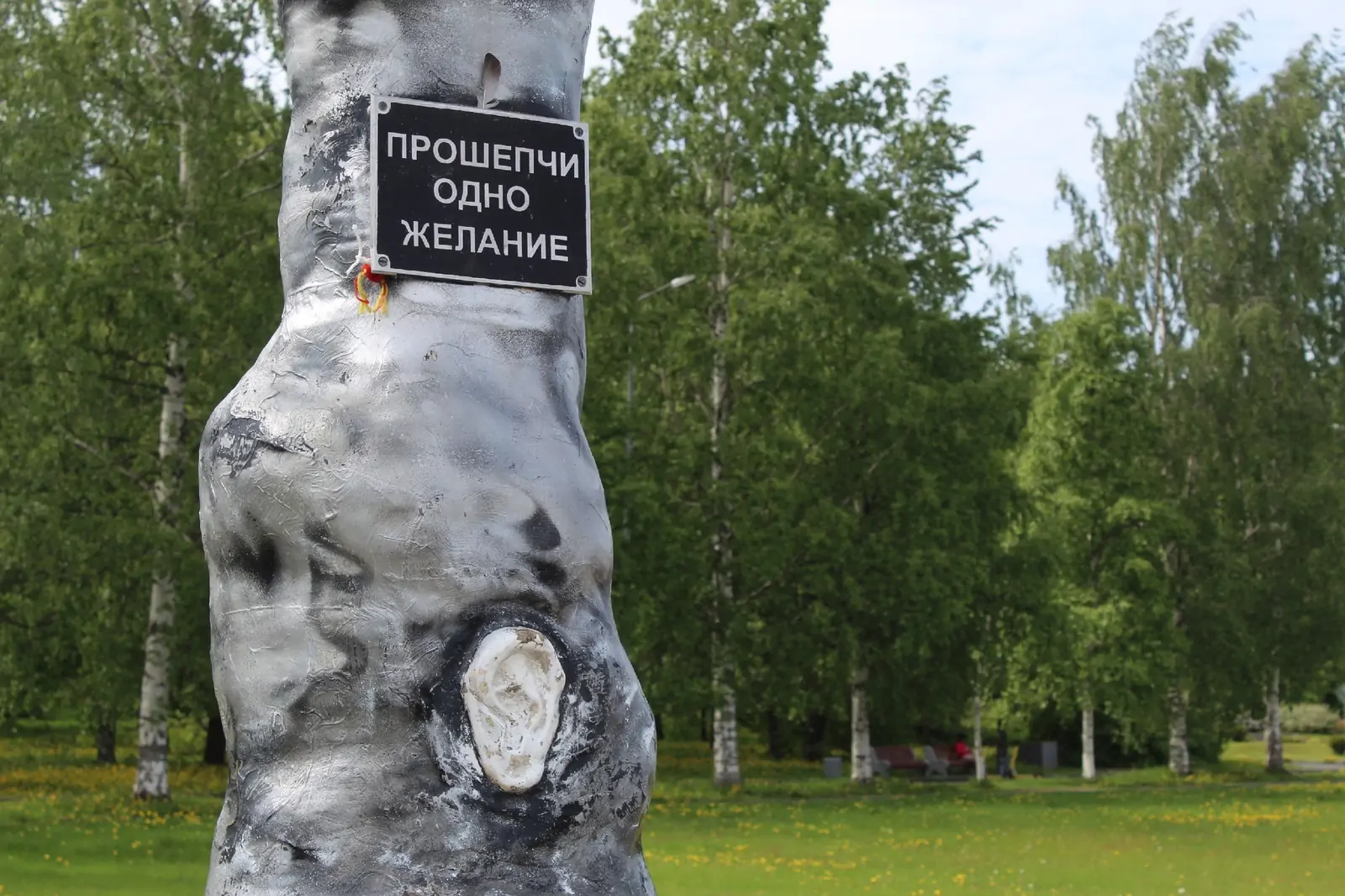 Пенсионерка в Петрозаводске в попытке легко и быстро заработать потеряла 3,3 миллиона
