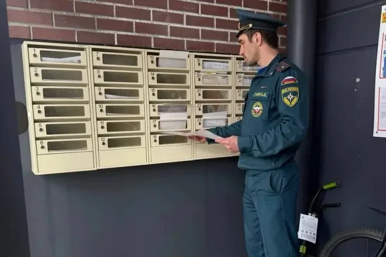 Тихая защита: в Петрозаводске проходят профилактические рейды МЧС