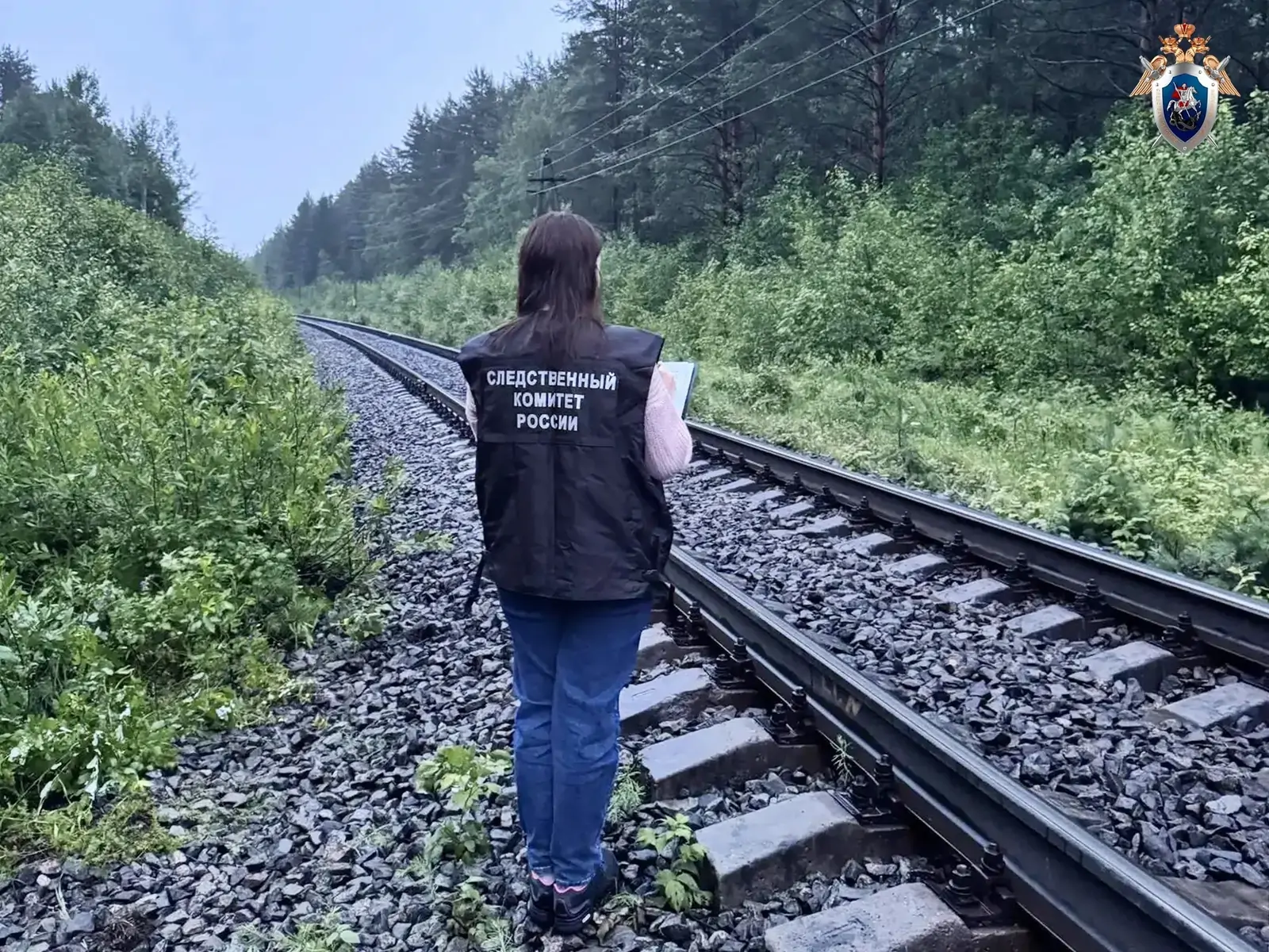 Мужчина погиб под колесами поезда в Карелии