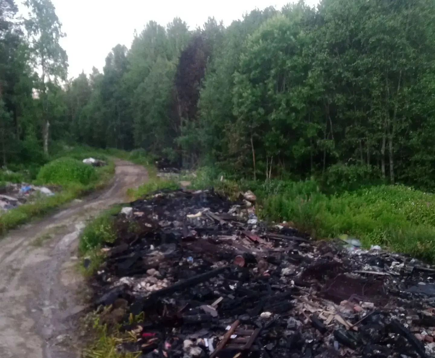 Пожарные тушили свалку возле поселка в Карелии