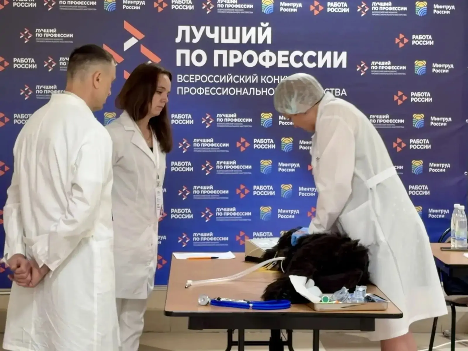 Представительница Карелии вошла в топ-10 лучших ветеринарных фельдшеров России