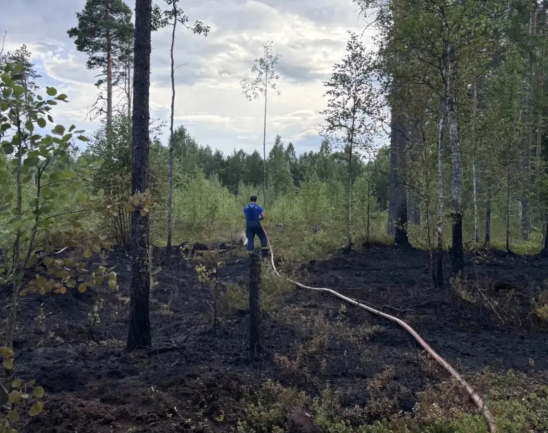 Шестидесятый лесной пожар ликвидировали в Карелии