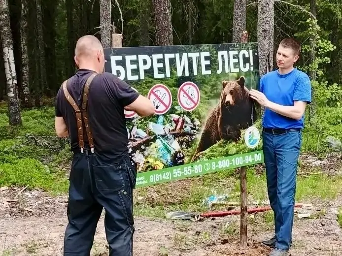 В Карелии с опережением выполняют противопожарное обустройство лесов