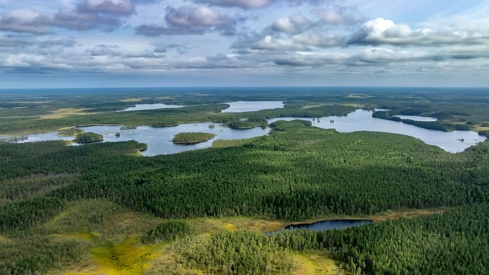 Карельская Нарния: известный фотограф пригласил в путешествие по летнему краю