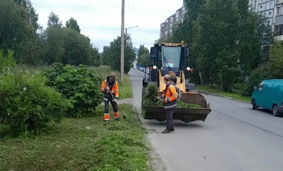 От тротуаров до цветников: как подрядчик следит за чистотой Петрозаводска