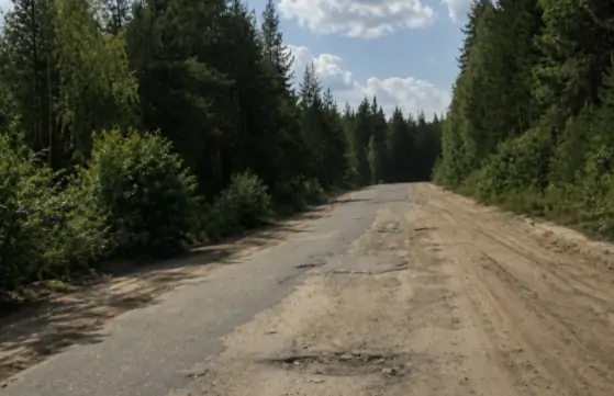 Ямы на дорогах причиняют боль пациентам на скорой в Муезерском районе