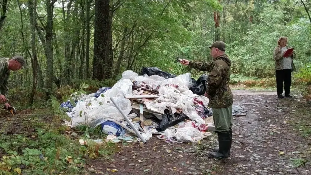 Мусор вместо грибов: лесную дорогу в Карелии завалили строительными отходами