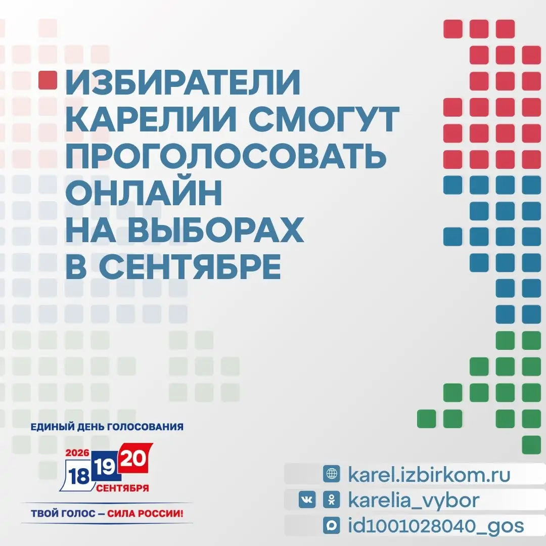 В Карелии начался прием заявлений на дистанционное электронное голосование