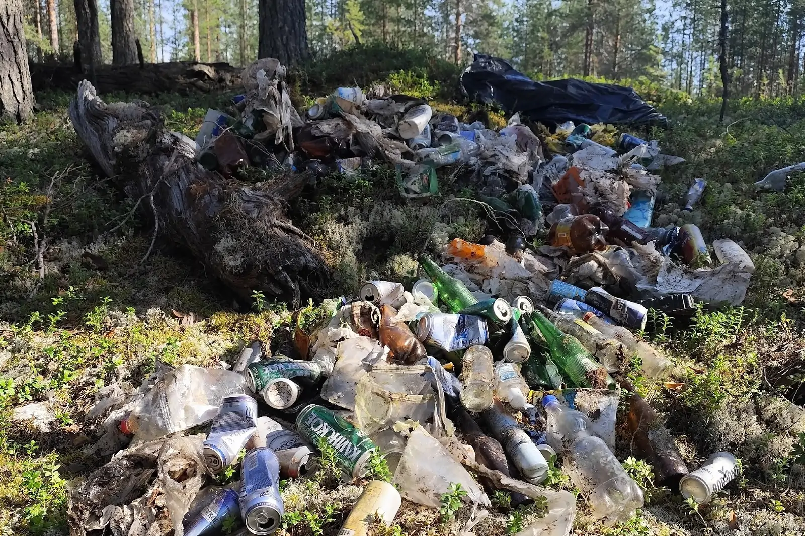 Лесничие Карелии обнаружили новую свалку с пустыми бутылками в лесу