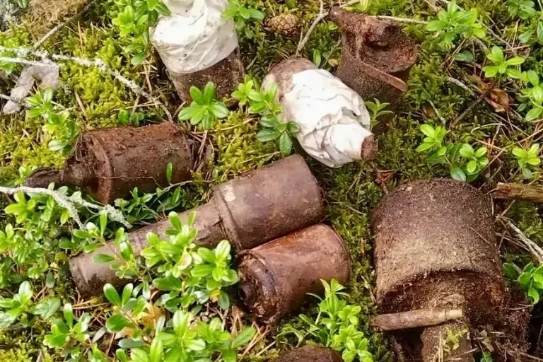 С начала года в Карелии обезвредили 191 взрывоопасный предмет