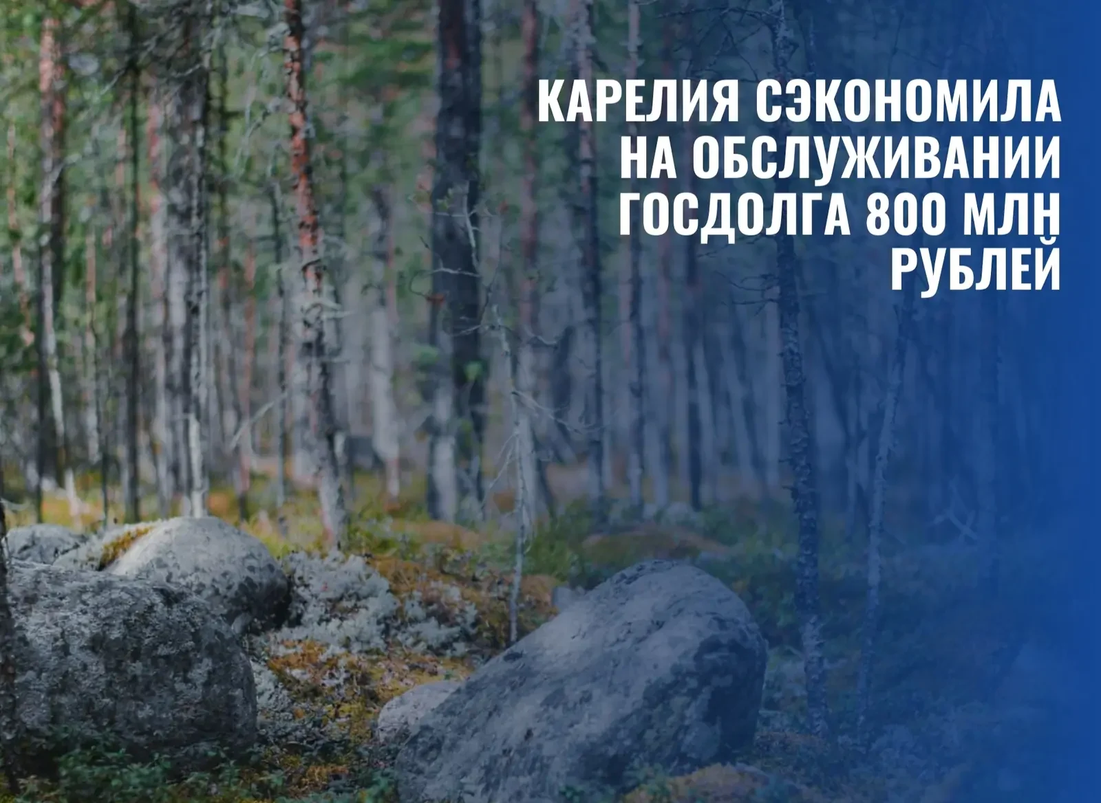 Карелия сэкономила 800 млн рублей на обслуживании госдолга