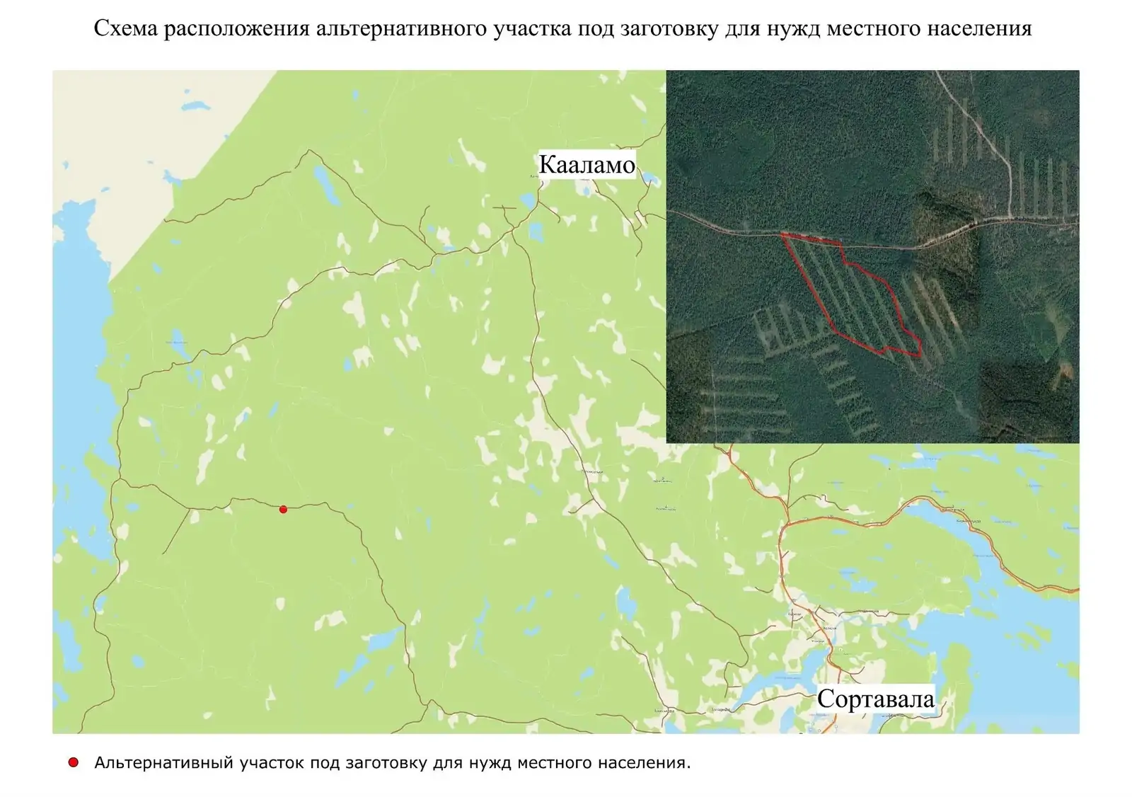 Жителей Кааламо услышали: для заготовки древесины нашли новый участок