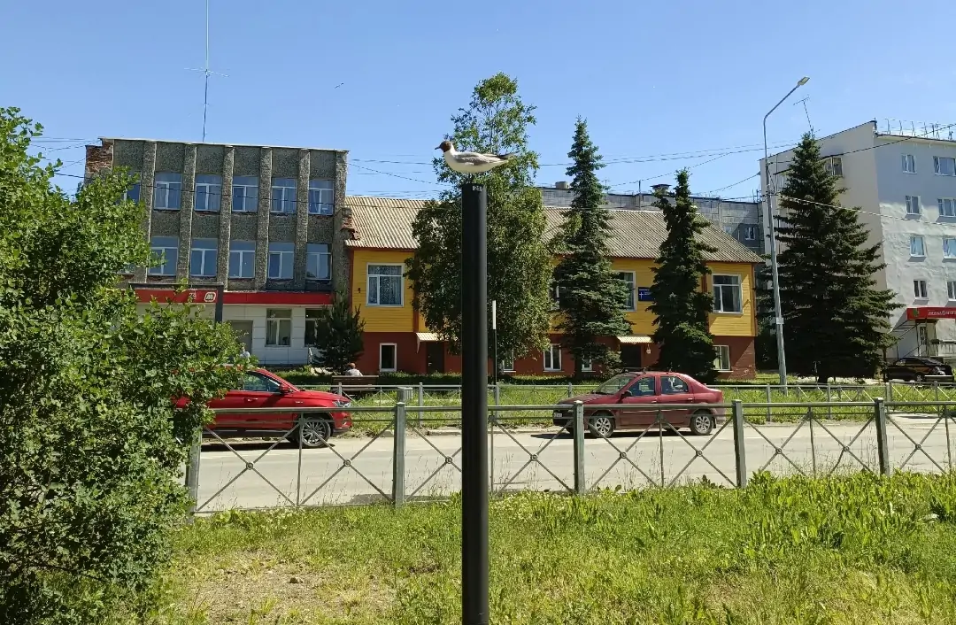 Житель Карелии перевел несколько миллионов неизвестным ради призрачного заработка