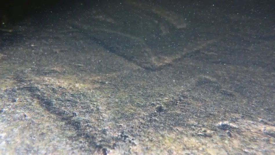 Уникальные петроглифы возрастом 7 тысяч лет нашли под водой Онежского озера в Карелии