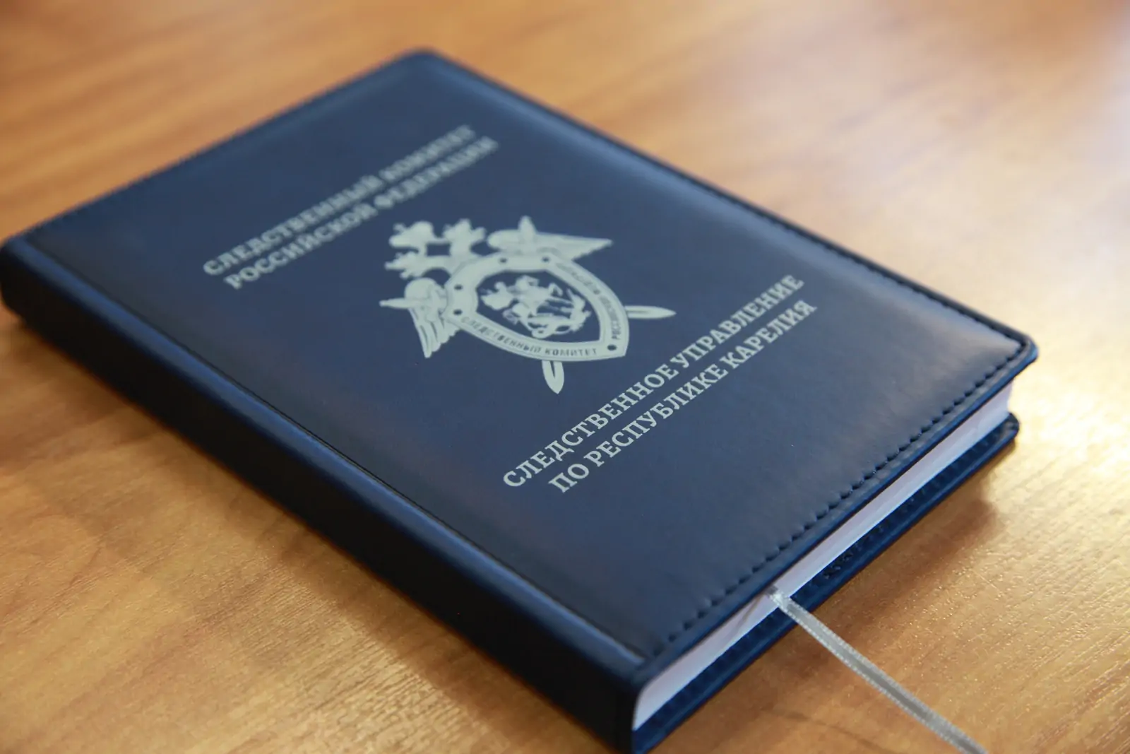 Заведующая детсадом в Петрозаводске ответит в суде за фиктивное трудоустройство уборщицы