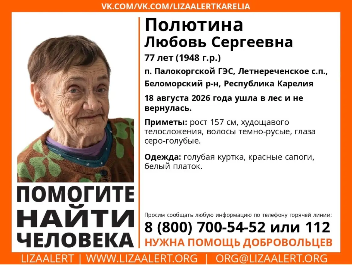 Пенсионерку, ушедшую в лес, ищут в Карелии