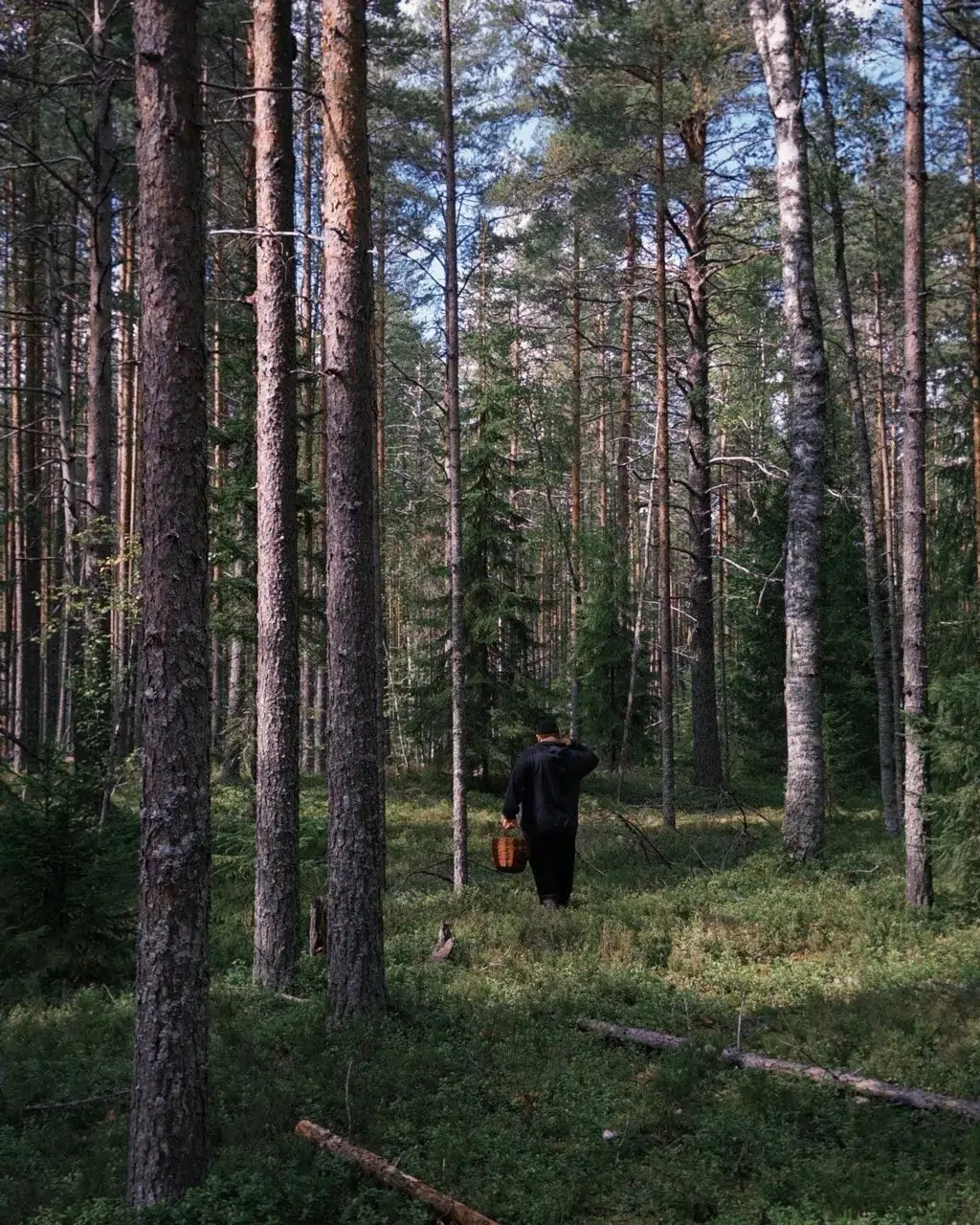 Сергей Жуков