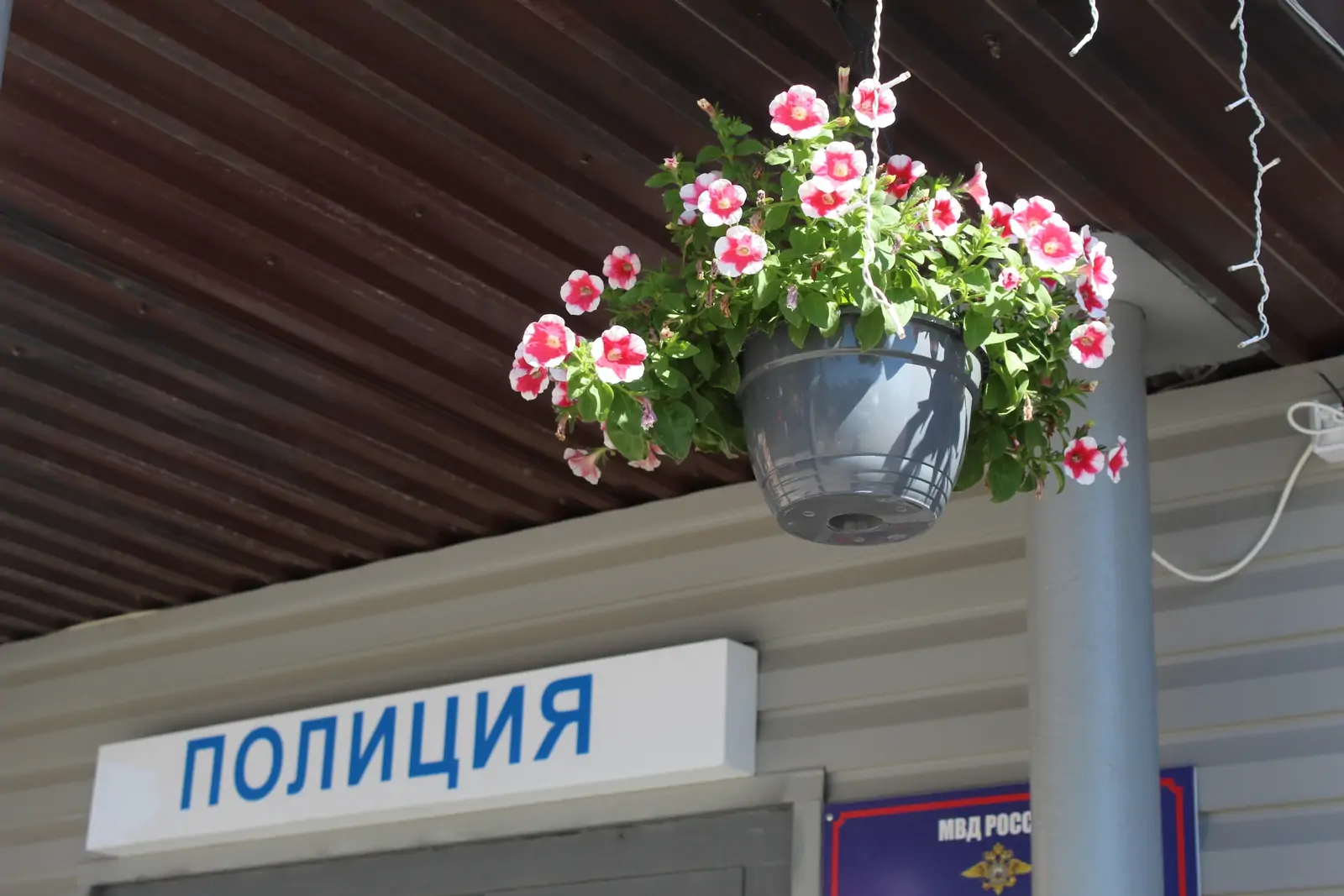 Три миллиона за «спасение» от кредитов: пенсионер из Петрозаводска стал жертвой мошенников