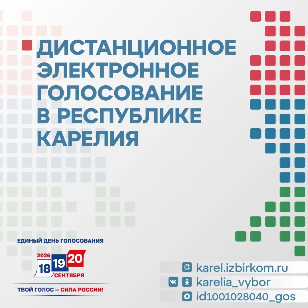 Более 13 тысяч заявок поступило в Карелии на дистанционное электронное голосование