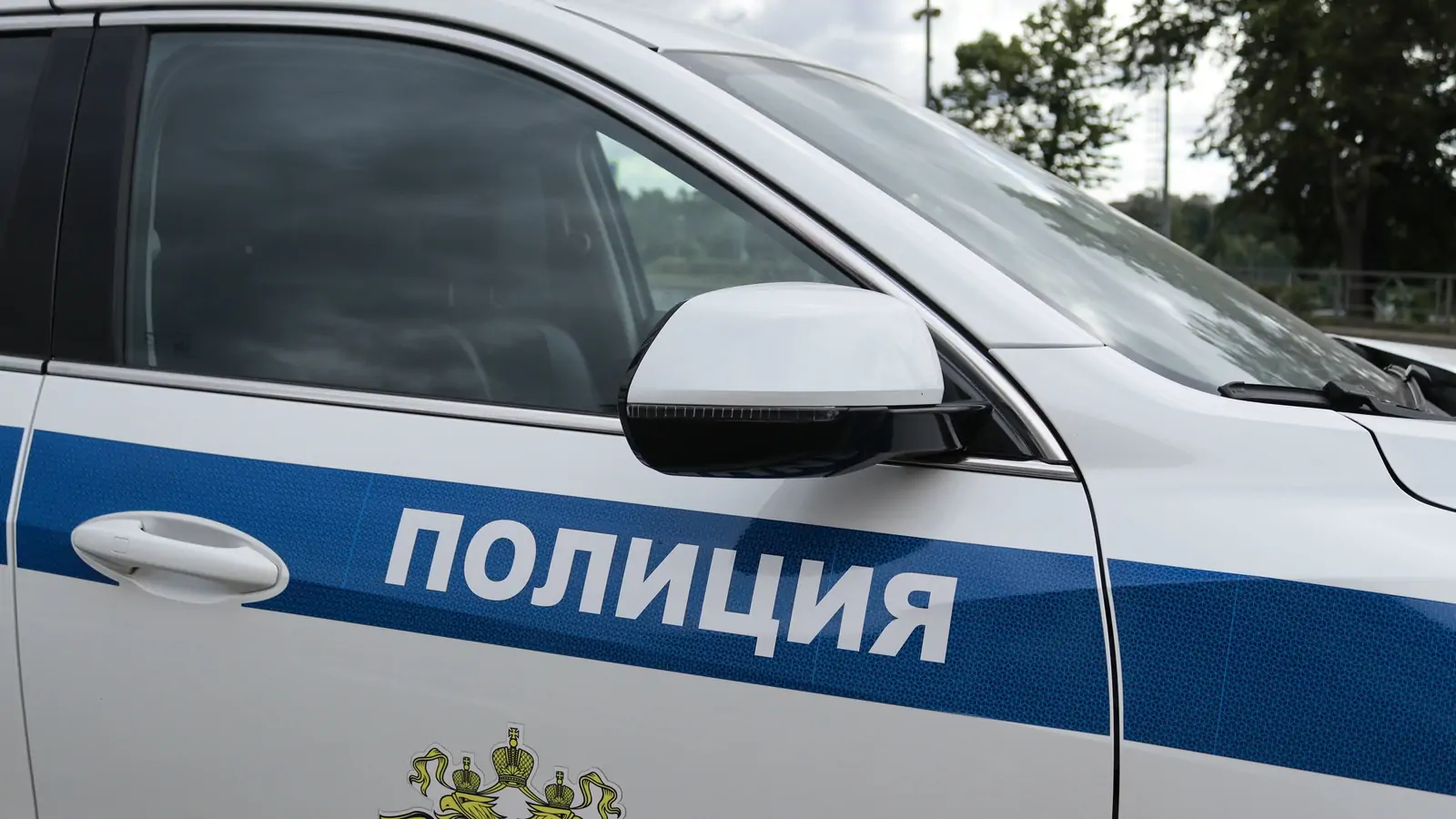 Криминальная Древлянка: полиция Петрозаводска раскрыла серию краж из магазинов