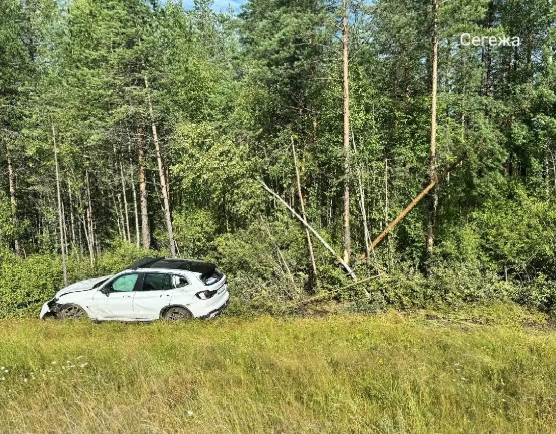 Двое жителей Мурманской области пострадали в аварии на трассе в Карелии