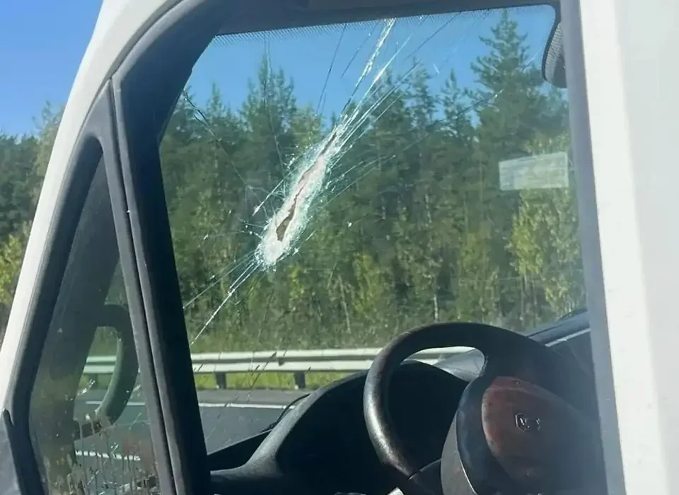 Врачи собирали по частям лицо водителя после аварии на трассе «Кола» в Карелии