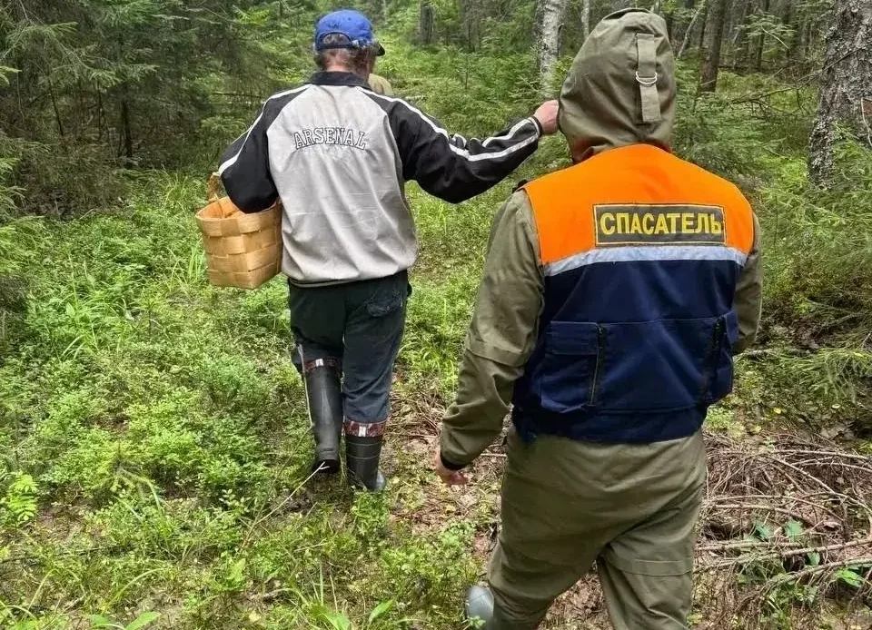 Спасатели вывели 16 заблудившихся грибников из лесов в Карелии
