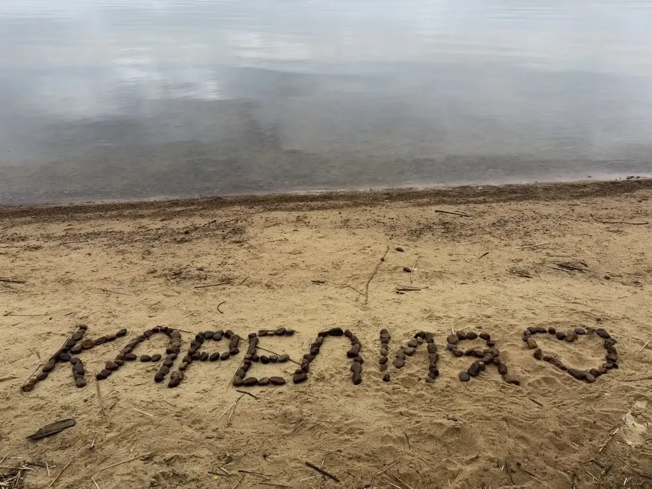 Свалки среди признаний в любви нашли на берегу Сямозера в Карелии