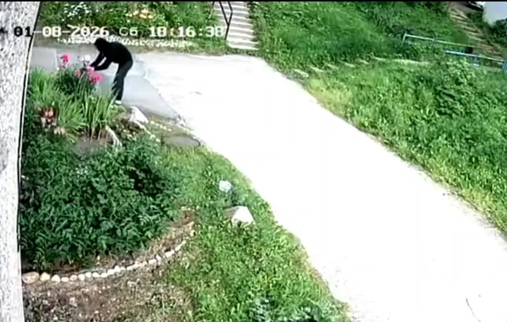Пьяный романтик в Карелии трижды оборвал клумбы ради дамы