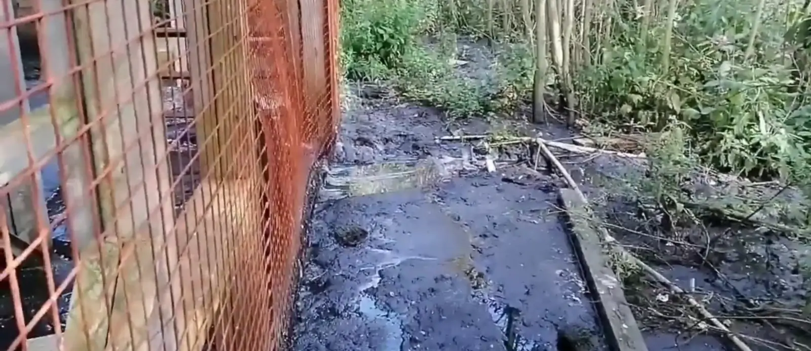 Неработающие очистные привели к загрязнению водоемов в Карелии
