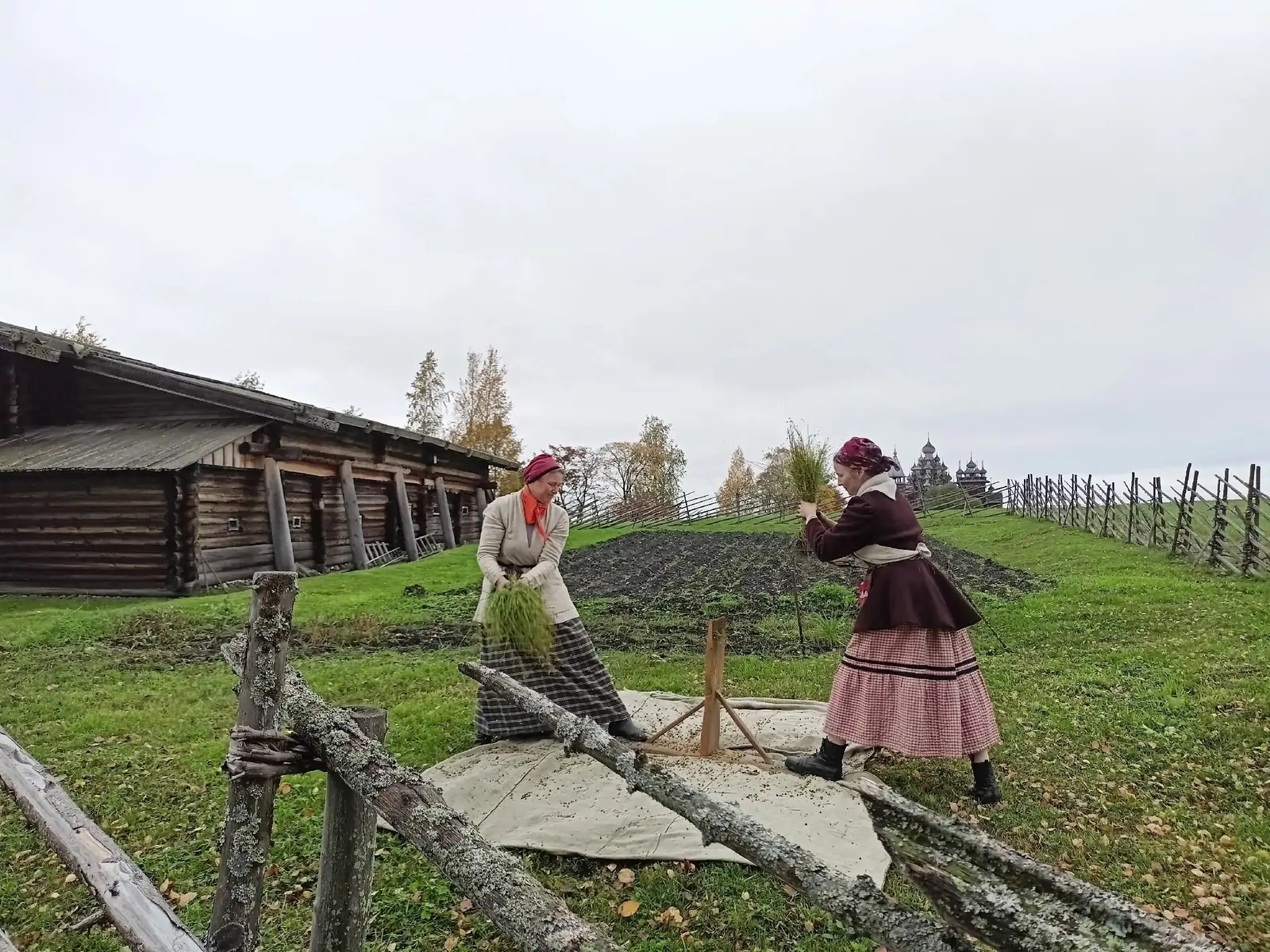 Сбор урожая льна на острове Кижи