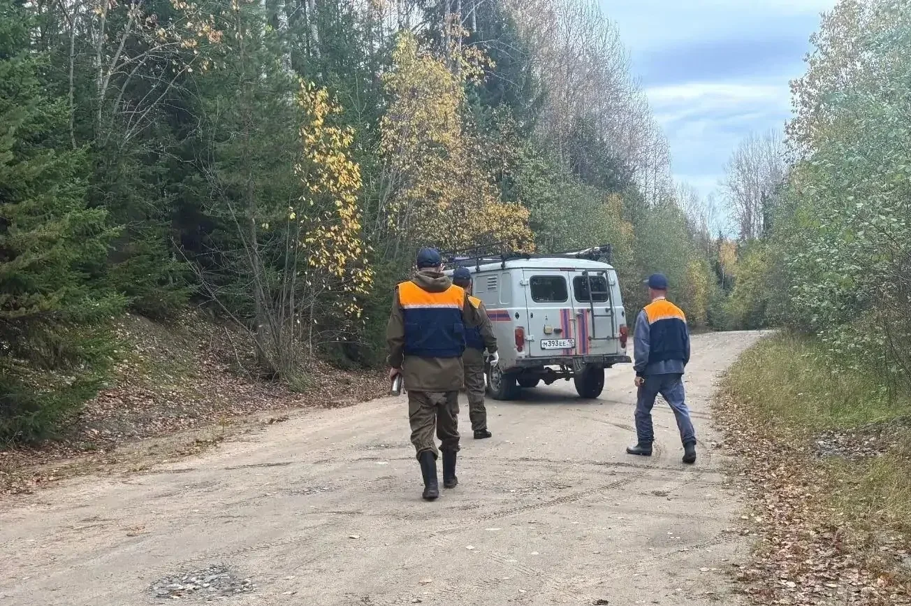 Пожилого мужчину вывели из леса под Петрозаводском